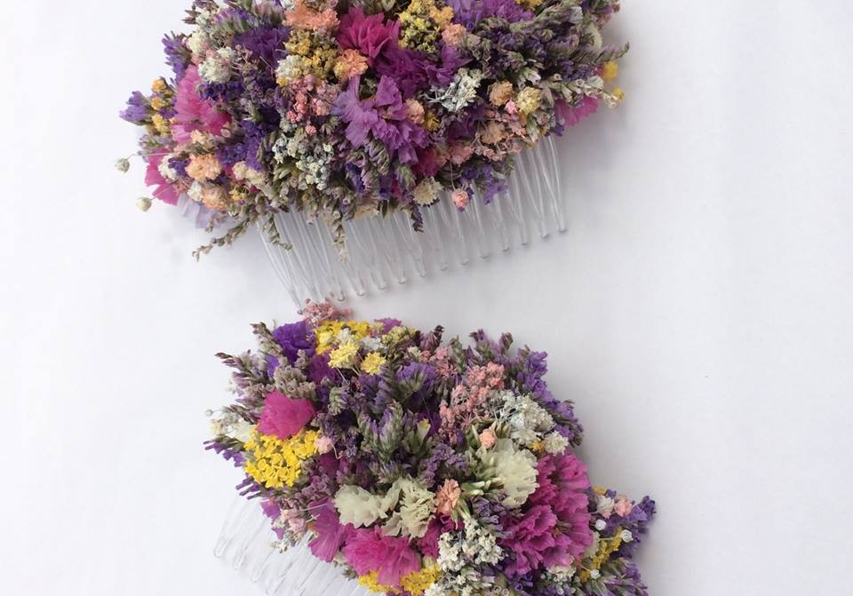 10410936_322261994599238_9197549043702935915_n